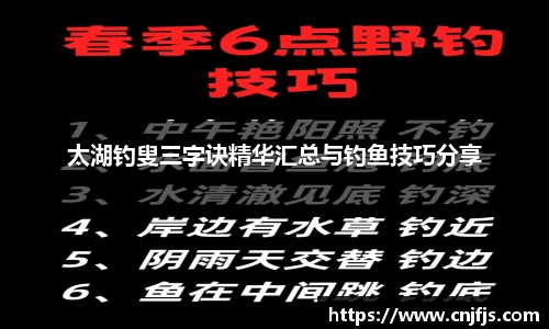 365完美体育